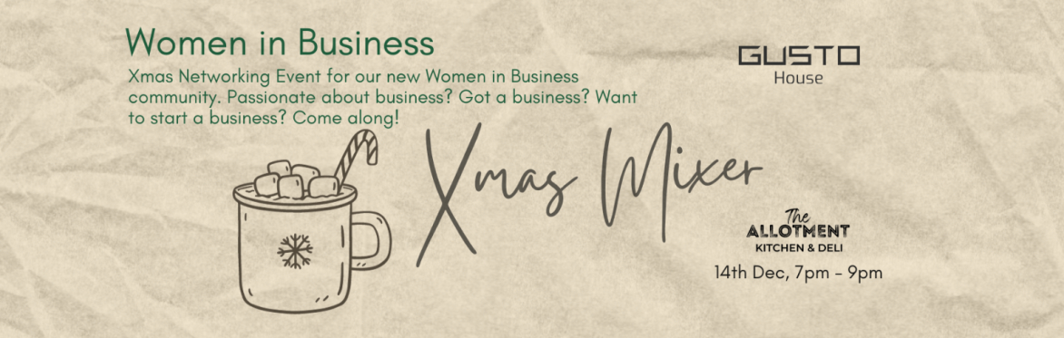 Women in Business Xmas Mixer (Christmas Networking event)