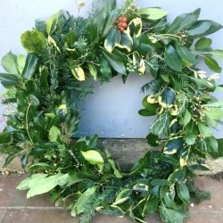 Christmas Wreath Making Workshop with mince pies & refreshments - with Fran Zoutewelle
