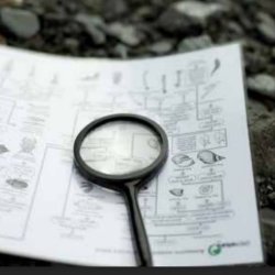 Cacciatori di storie e raccoglitori di segreti - Laboratorio per bambini