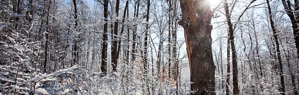 The Joy of Rest Retreat