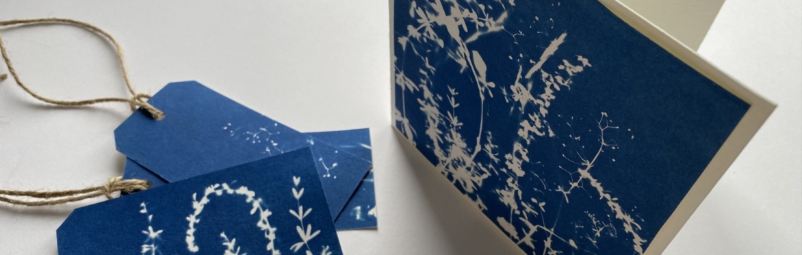 Cyanotype cards and gift tags