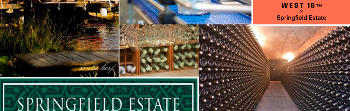 Springfield Estate Wine Tasting