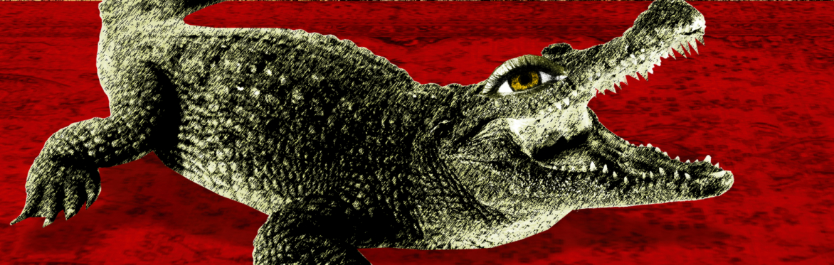 Crocodile, a darkweb opera