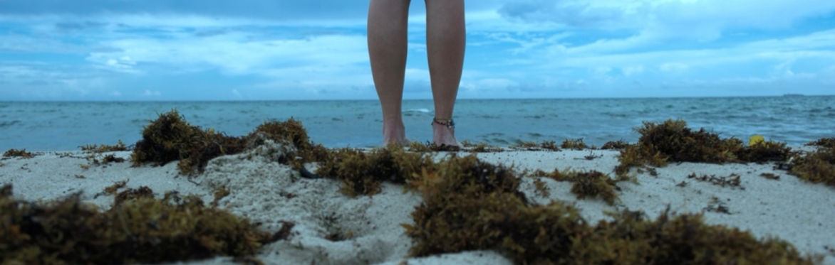 Bare feet on a sandy beach, with seaweed, ocean, and cloudy sky.