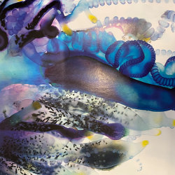 Youth Ecology Art Expressions of Interest
