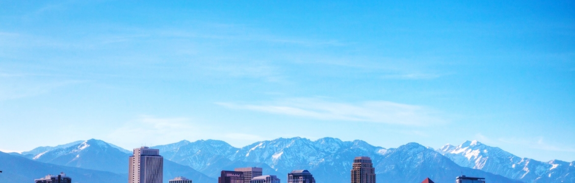 The Business of Local Conference