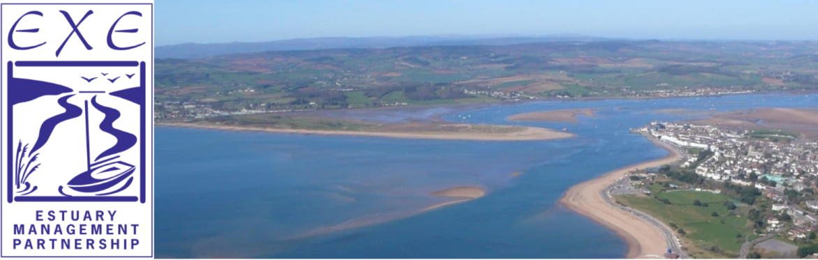 Wide long shot of the Exe Estuary