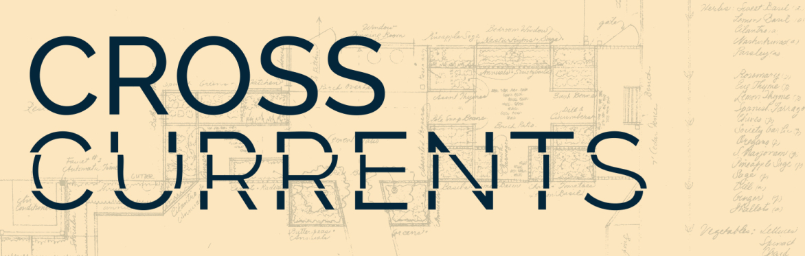 Cross Currents: Frameworks of Intelligence