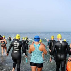 2026 Looe Island Swim