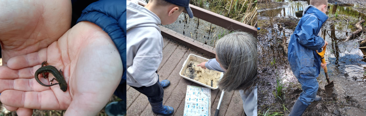 Forest School Home Education West Boldon Lodge Autumn 1