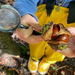 OrganicLea's Forest School Autumn 26