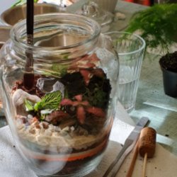 Classic Terrarium Workshop