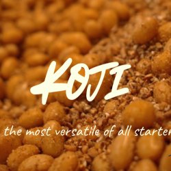 WORKSHOP Koji: From Japanese Tradition to Modern Fermentation