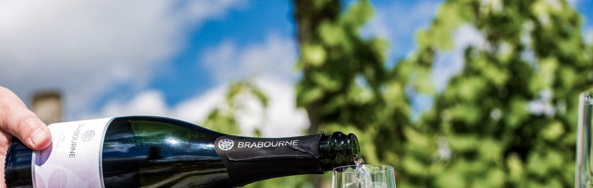 Inner Circle Vineyard Tour and Tastings at Brabourne Vineyard