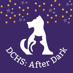 DCHS: After Dark