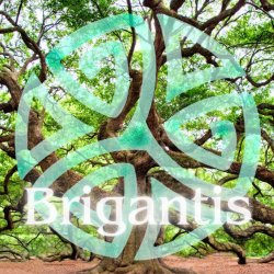 Brigantis at St Anne’s