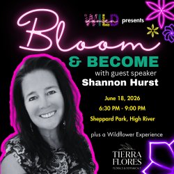 Bloom & Become