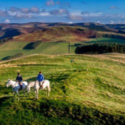 Horse Riding Peebles (Intermediate-Advanced)