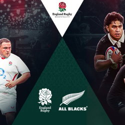 Allianz Stadium -England vs Japan