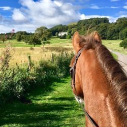 Horse Riding Fife (Novice - Advanced)