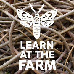 Weave a Winter Willow Star [Learn At The Farm]