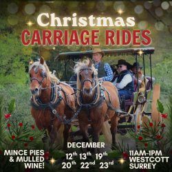 Two brown horses pulling a carriage