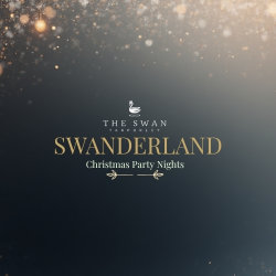 Swanderland - Christmas Party Night