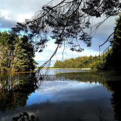 Beecraigs Country Park Walk (Dogs Welcome) - Free