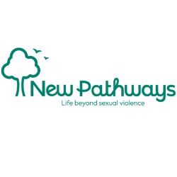 Male Victims of Domestic Abuse