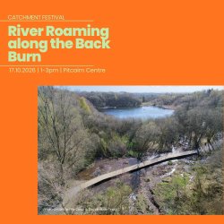 River Roaming along the Back Burn