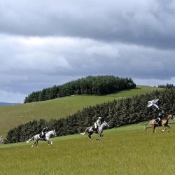 Horse Riding - Lauder - (Advanced)