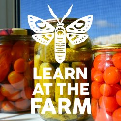 The Art of Preserving and Pickling [Learn At The Farm]