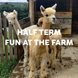 SEN Half Term Animal Tour at Bath City Farm