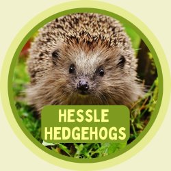Hessle Hedgehogs Afternoon Cream Tea