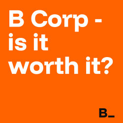 B Corp - Is it worth it?