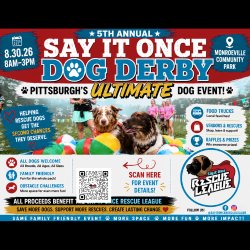 The Dog Derby