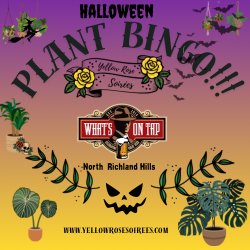 Halloween Plant Bingo at What’s on Tap-North Richland Hills!