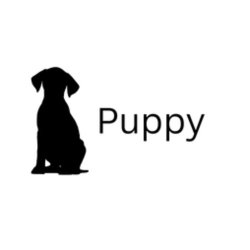 Puppy Training & Socialisation Classes