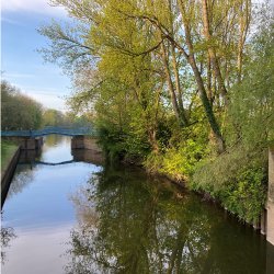 Tree lined river including York's "blue bridge"