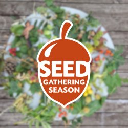 Seed Gathering Masterclass: Growing trees from seed