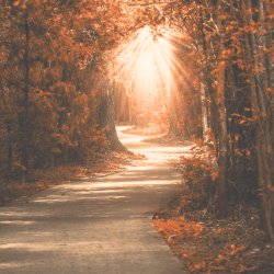 There is an Old Belief