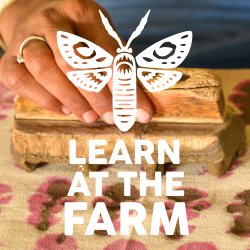 Learn At The Farm - Block Print Christmas Cards