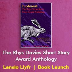 The Rhys Davies Short Story Award Anthology 2026 - Book Launch