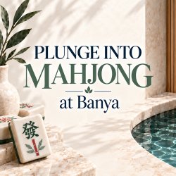 Plunge Into Mahjong