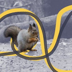 Acorns and Boardrooms: unearth your BA toolkit