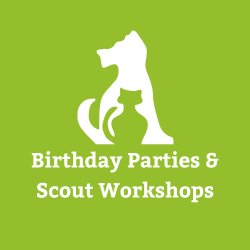 Birthday Parties and Scout Workshops