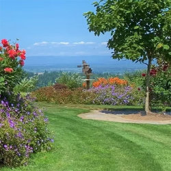Lux Perennials Garden