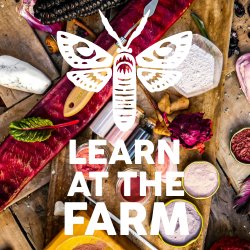 Make Natural Inks, Charcoal and Art Pens [Learn At The Farm]