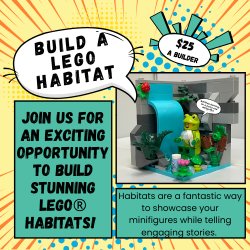 Build a LEGO® Habitat