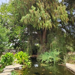 Before it was LA: A Morning at Kuruvungna Village Springs